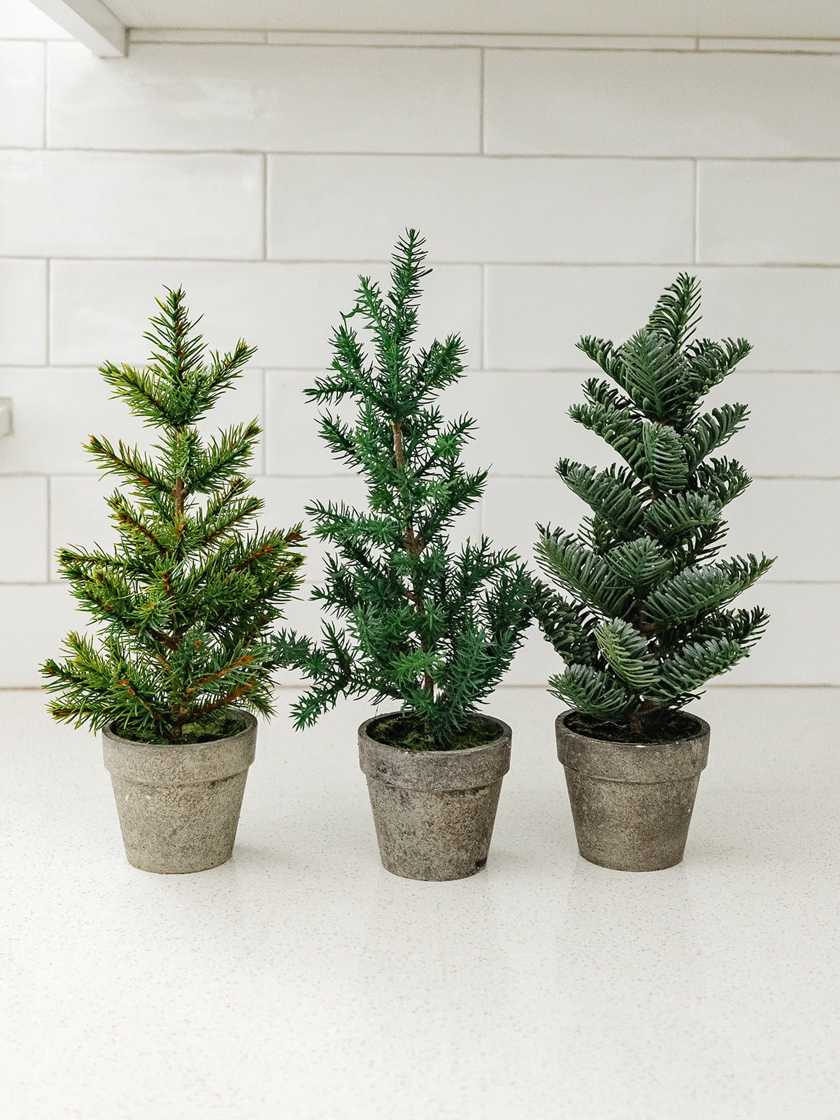 Potted Pines - 3 tree styles & 2 different sizes