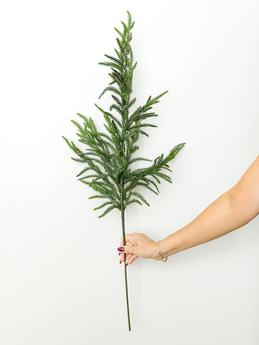 Cypress Norfolk Spray - 37"