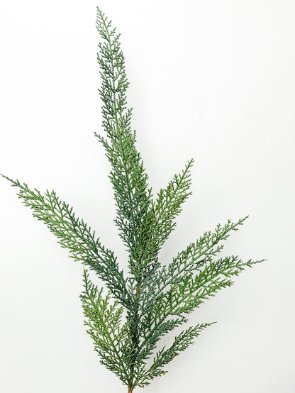 Cedar Spray - 40"