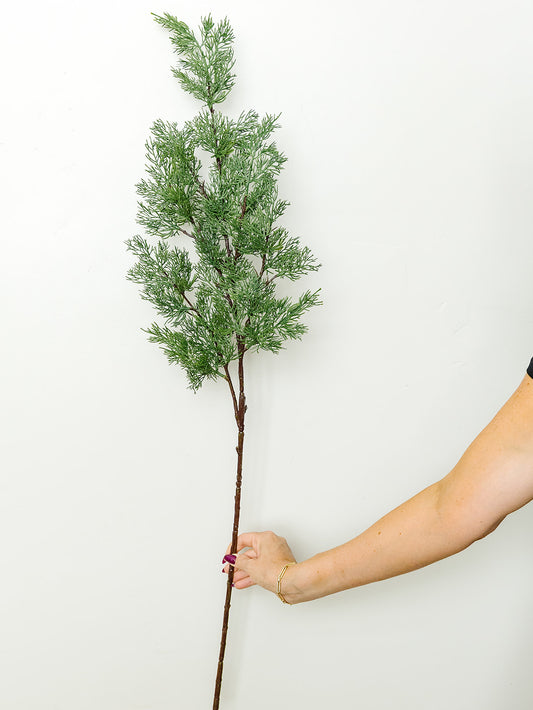 Cypress Stem - 42.5"