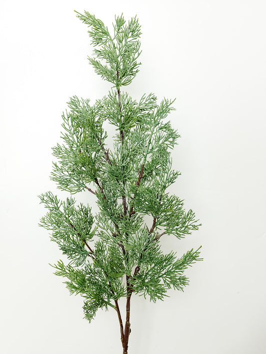 Cypress Stem - 42.5"