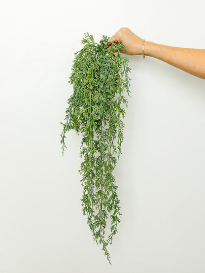 Hanging Cedar Branch - 30"