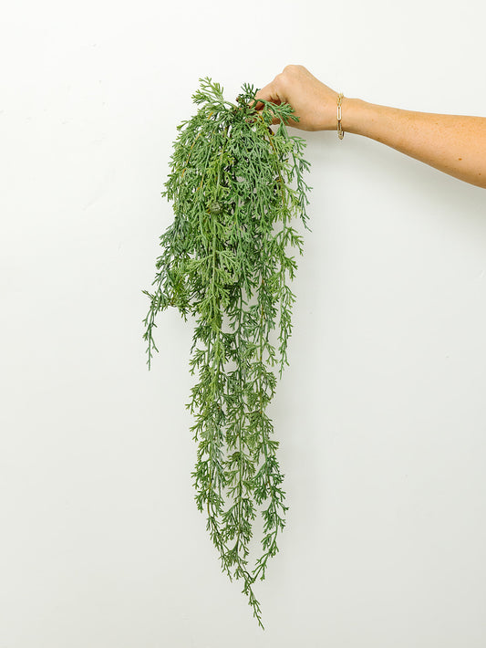 Hanging Cedar Branch - 30"