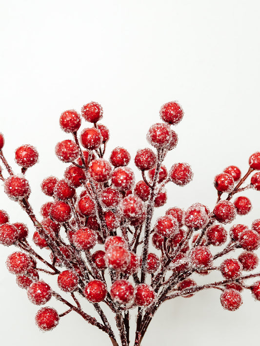 Iced Berry Bundle - 11"