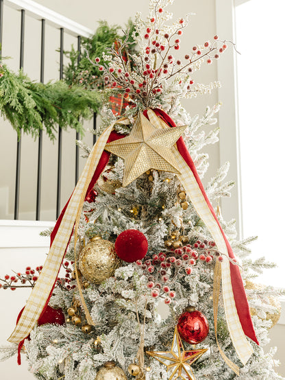 Star Ornament - 8"