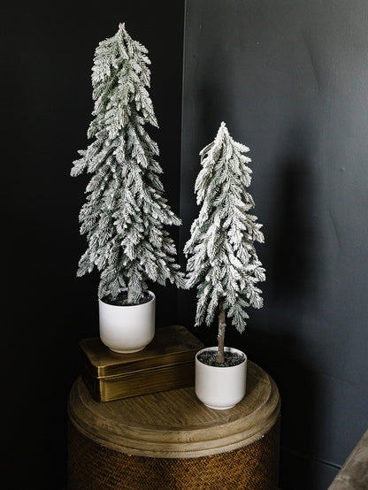 Snow Pine Tree in a Pot - 2 Sizes