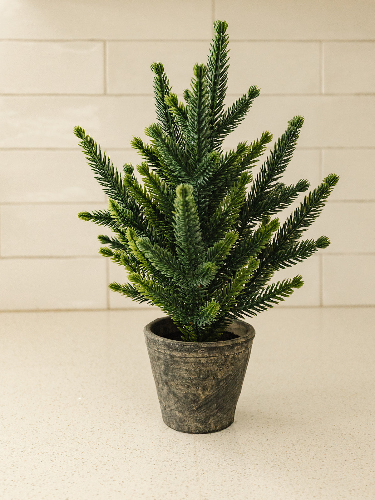 Pine Tree in Cement Pot - 13"