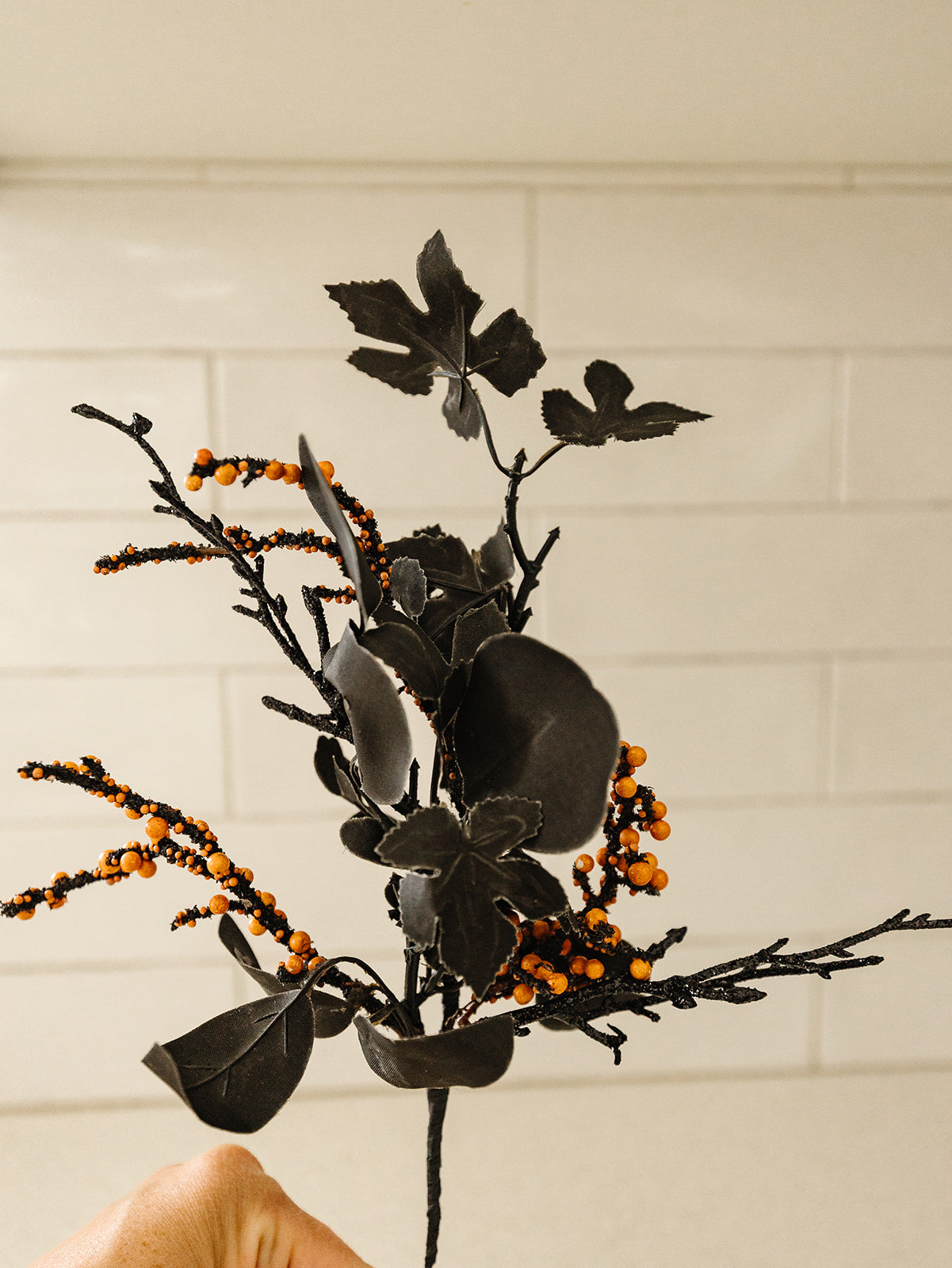 Halloween Berry Pick