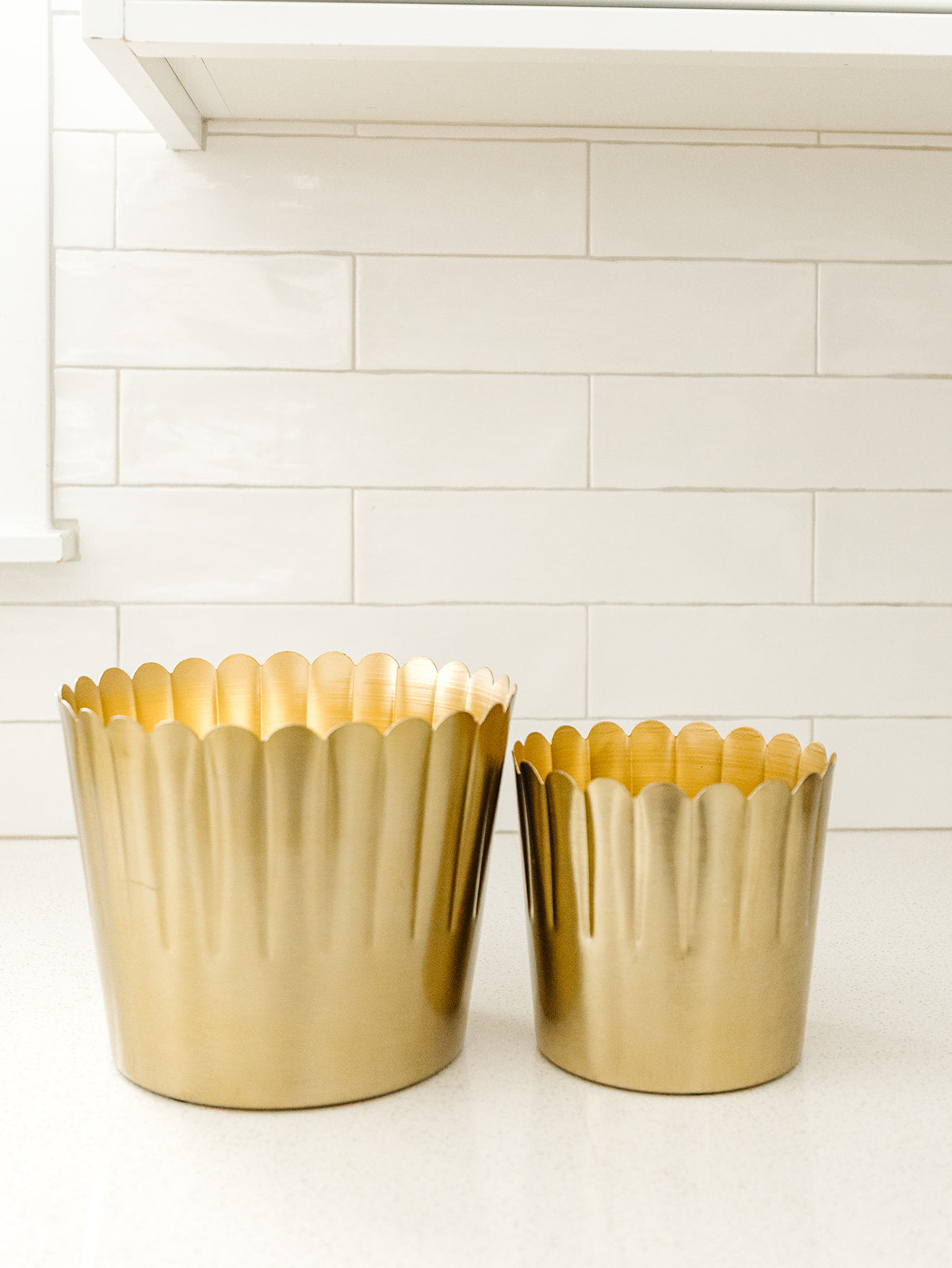 Delicata Pot