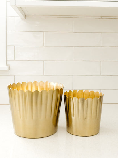 Delicata Pot