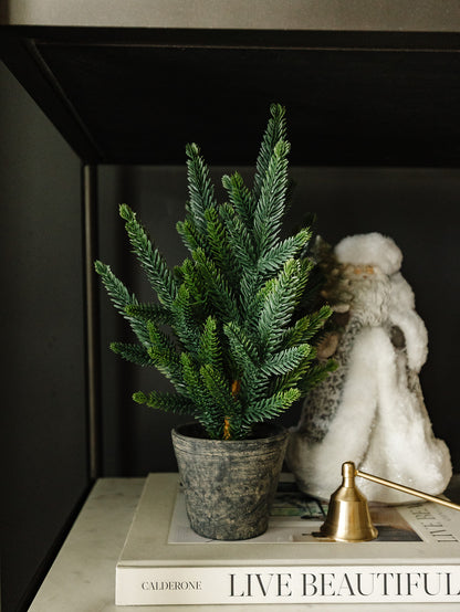 Pine Tree in Cement Pot - 13"