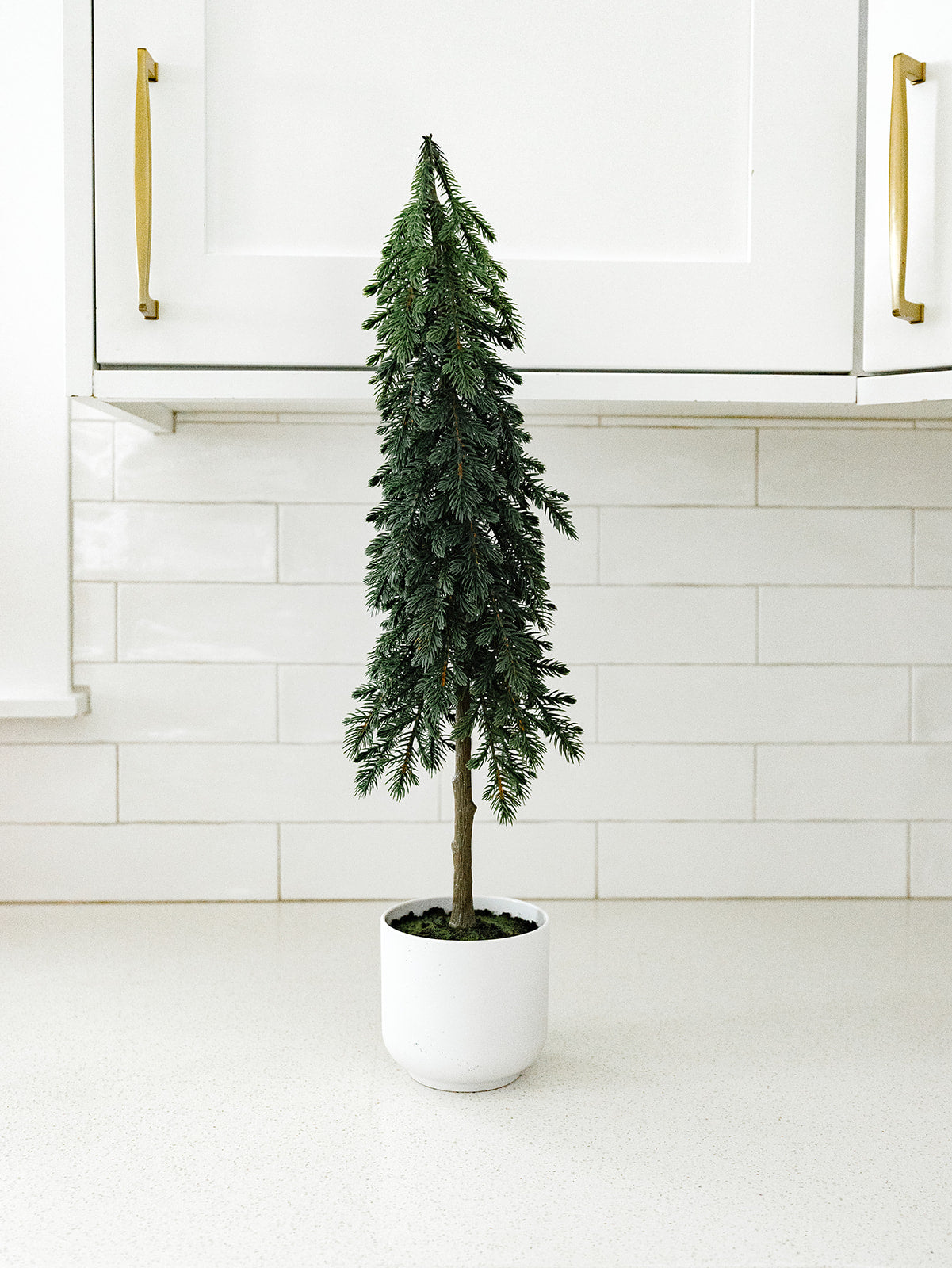 Pine Tree in a Pot - 23"