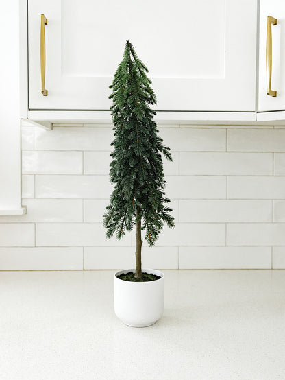 Pine Tree in a Pot - 23"