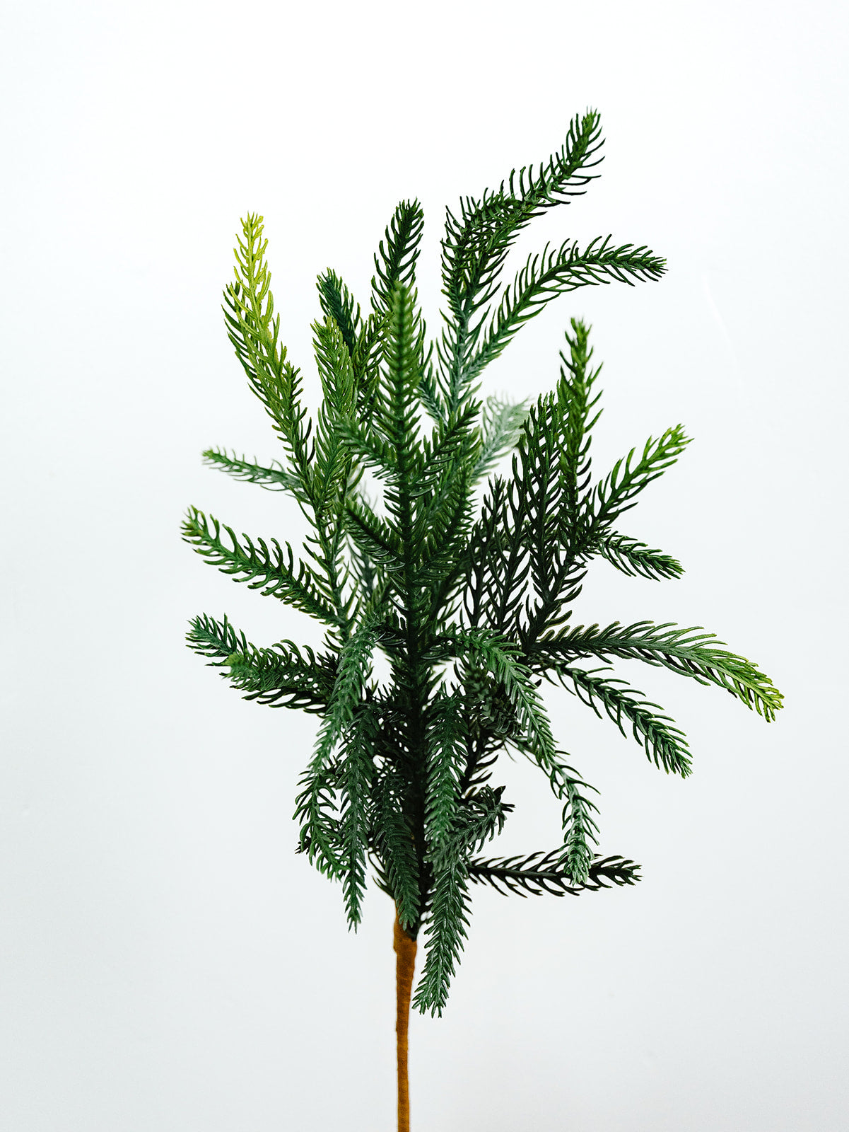 Willow Cypress Pine Spray - 20"