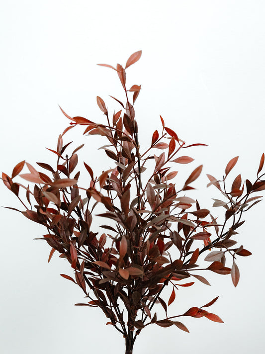 Brown Burgundy Willow Bush - 18"