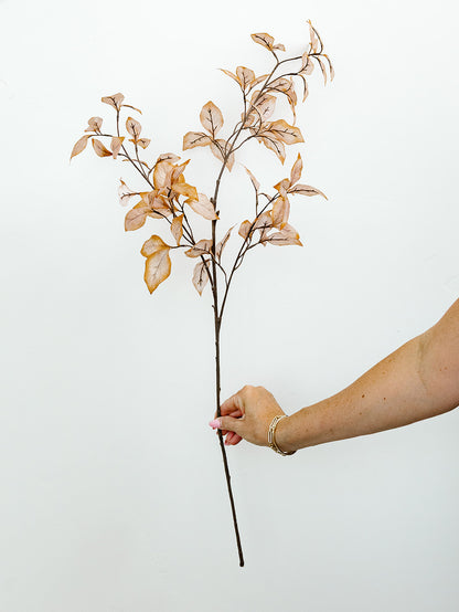Hint of Orange/Beige Beech Leaf Spray - 35"