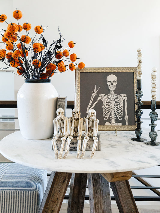 Sitting Skeleton - 3 Styles