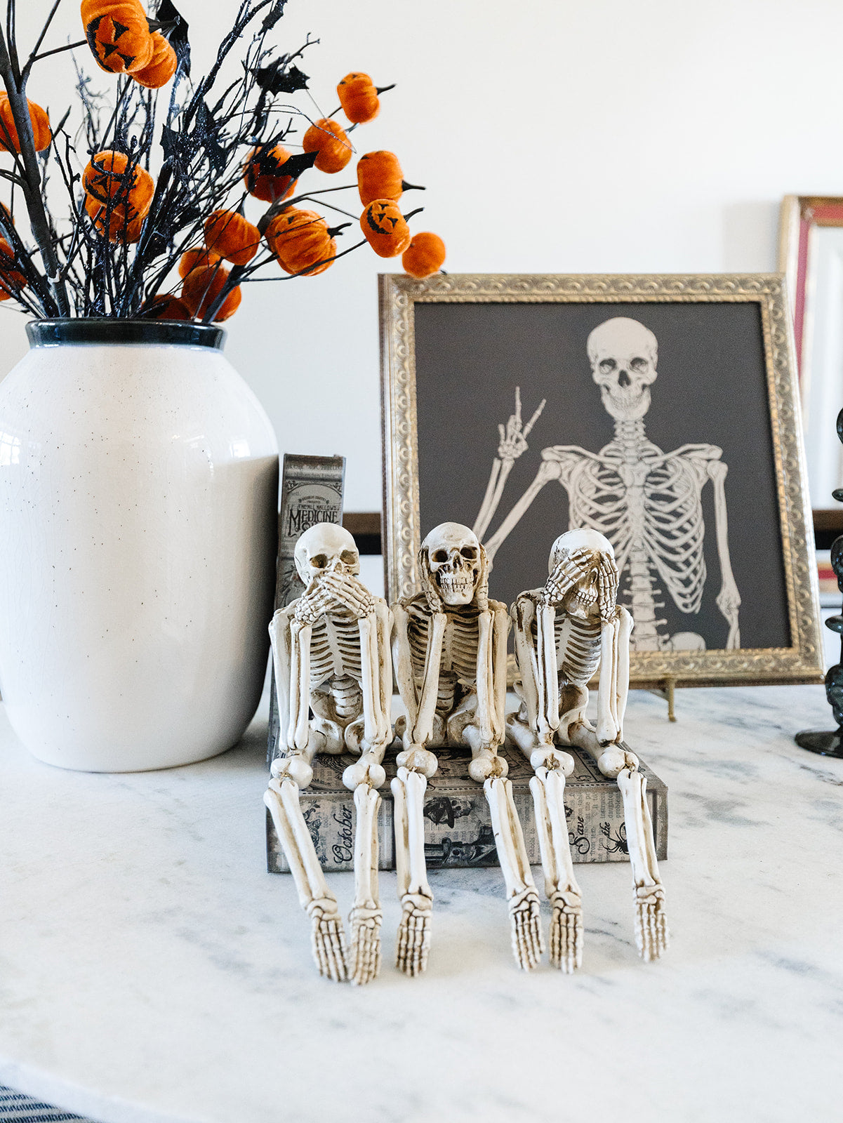 Sitting Skeleton - 3 Styles