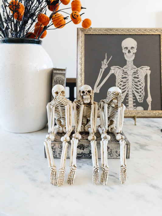 Sitting Skeleton - 3 Styles