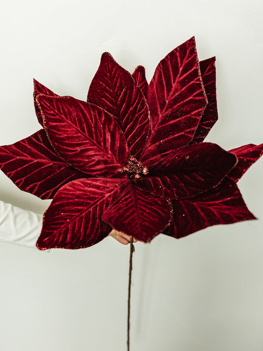 Dark Red Poinsettia Stem - 22"