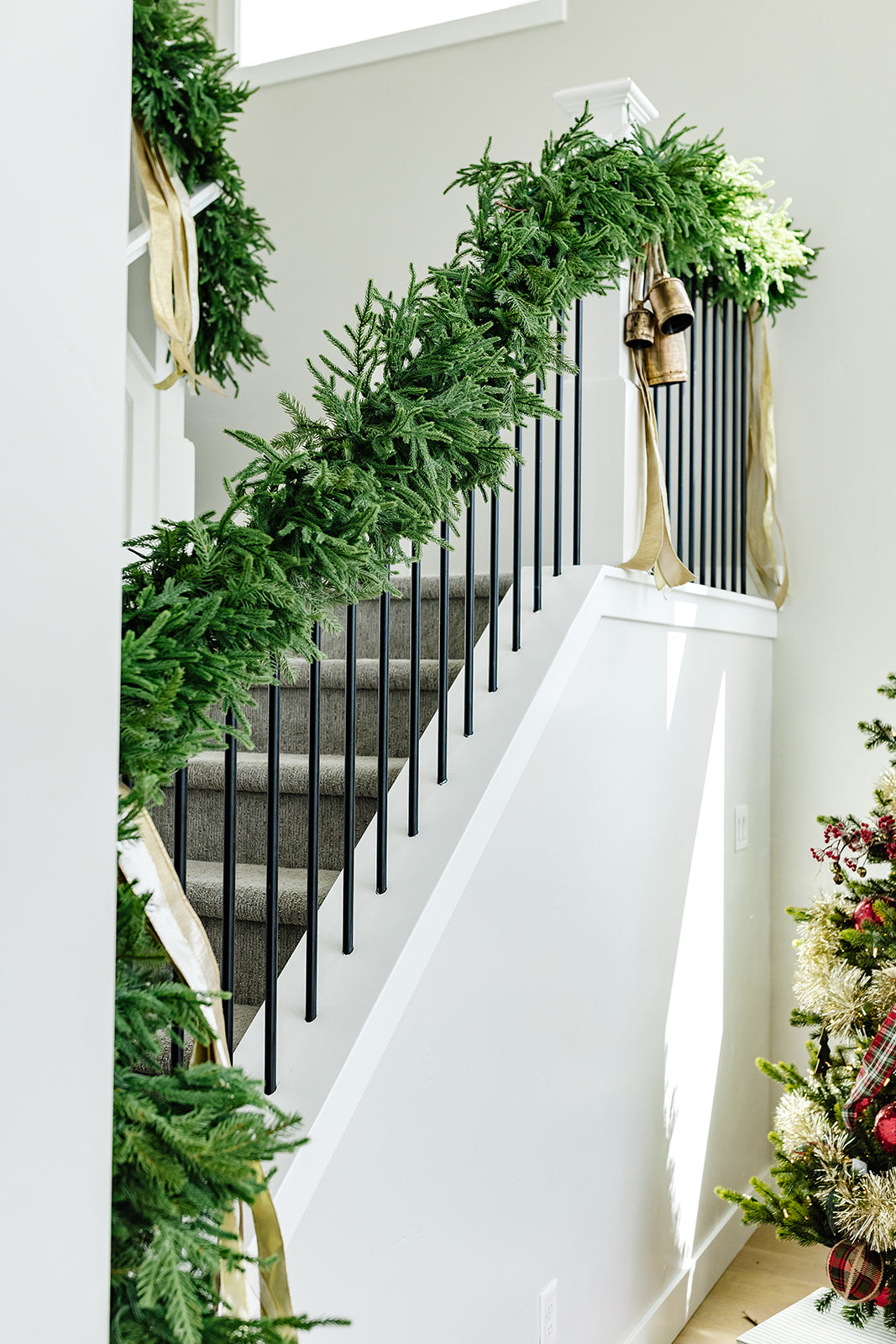 Norfolk Pine Garland with 200 LED Twinkle Lights - 9'