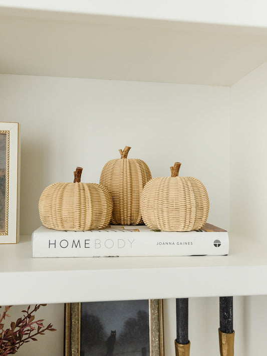 Taupe Pumpkin - 3 Styles