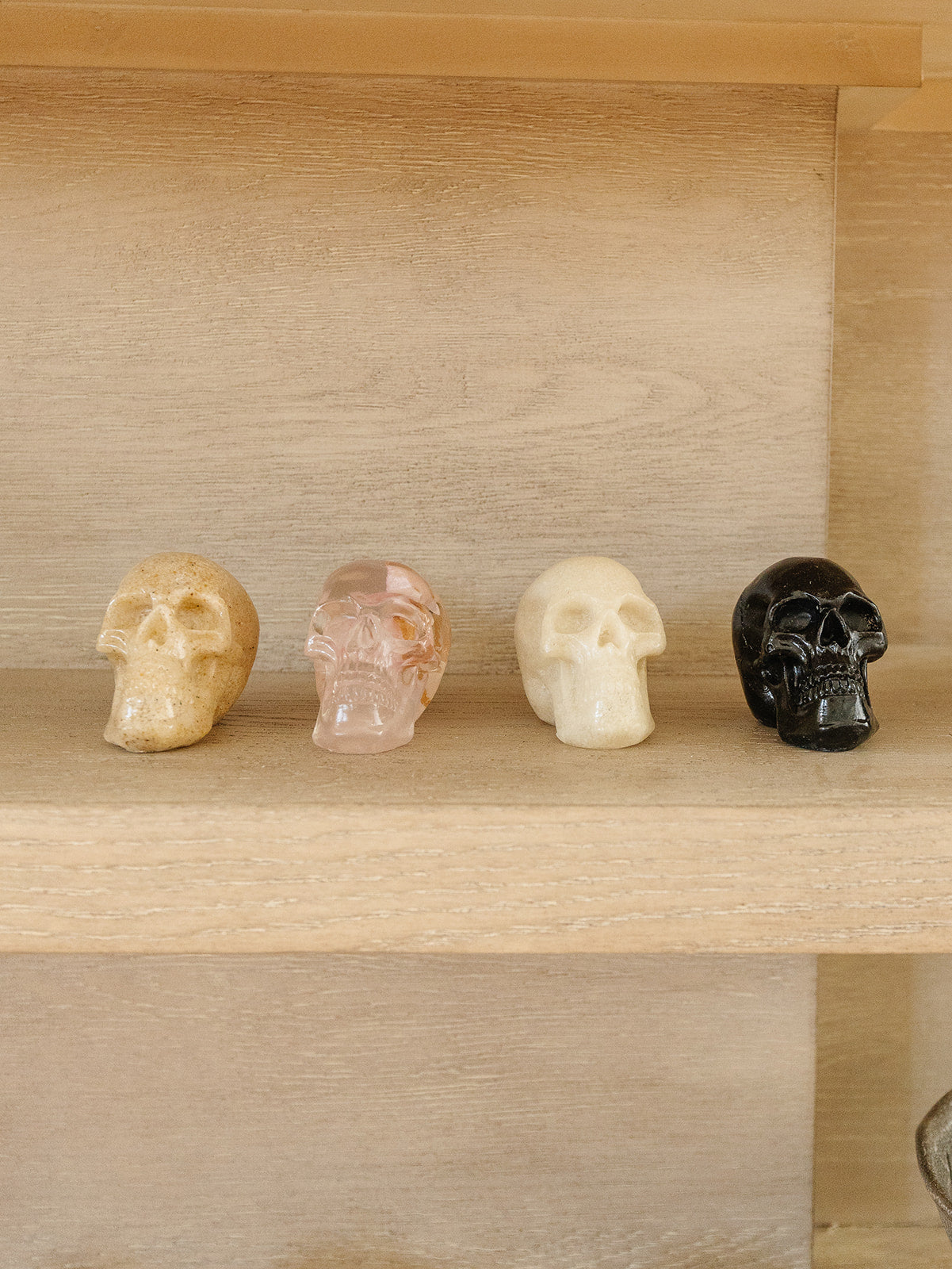Boxed Set of 4 Skulls - Multi Colors -