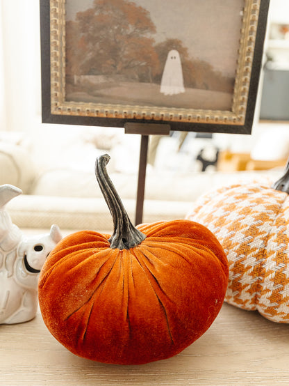 Velvet Orange Pumpkin
