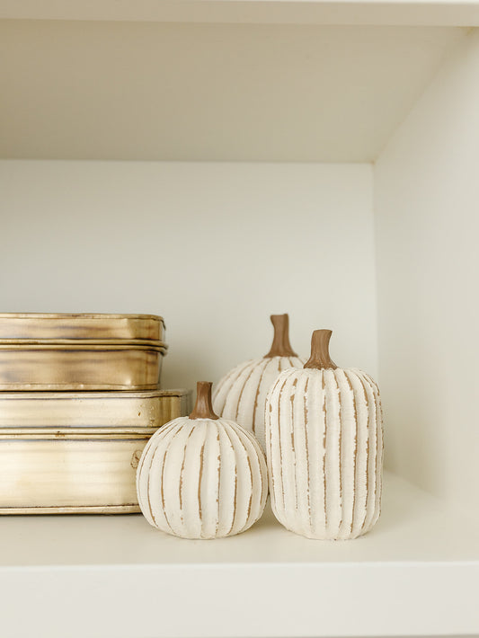 Whitewashed Pumpkin - 3 Sizes