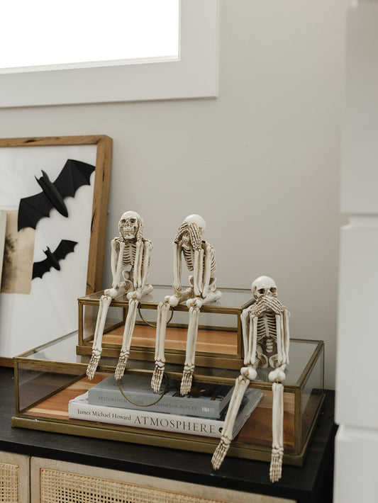 Sitting Skeleton - 3 Styles