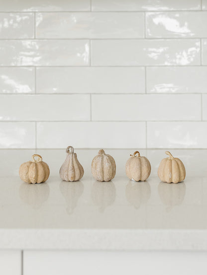 Tan Resin Filler Pumpkins - Set of 5