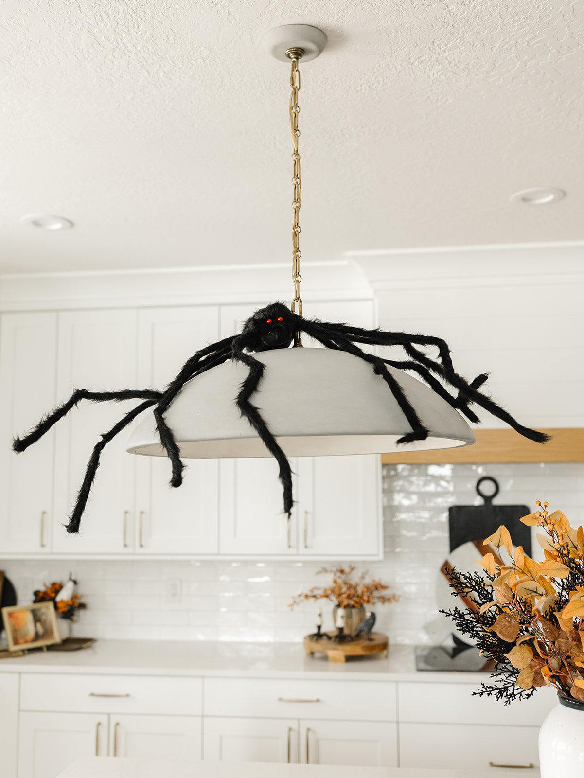 Furry Tarantulas Spider - 4 Sizes
