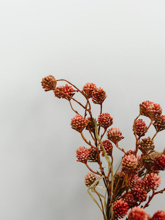 Mauve Thistle Stem - 17"