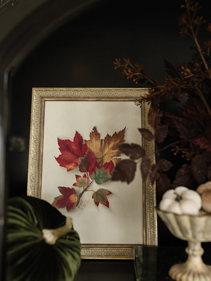 Autumn Leaves Framed Art - 3 Sizes