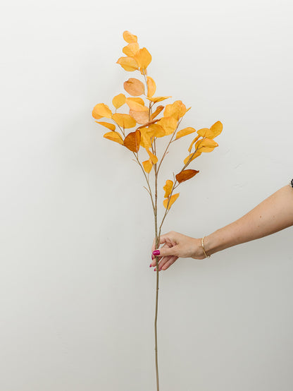 Orange Eucalyptus - 38.5"