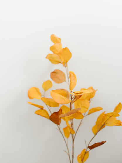 Orange Eucalyptus - 38.5"