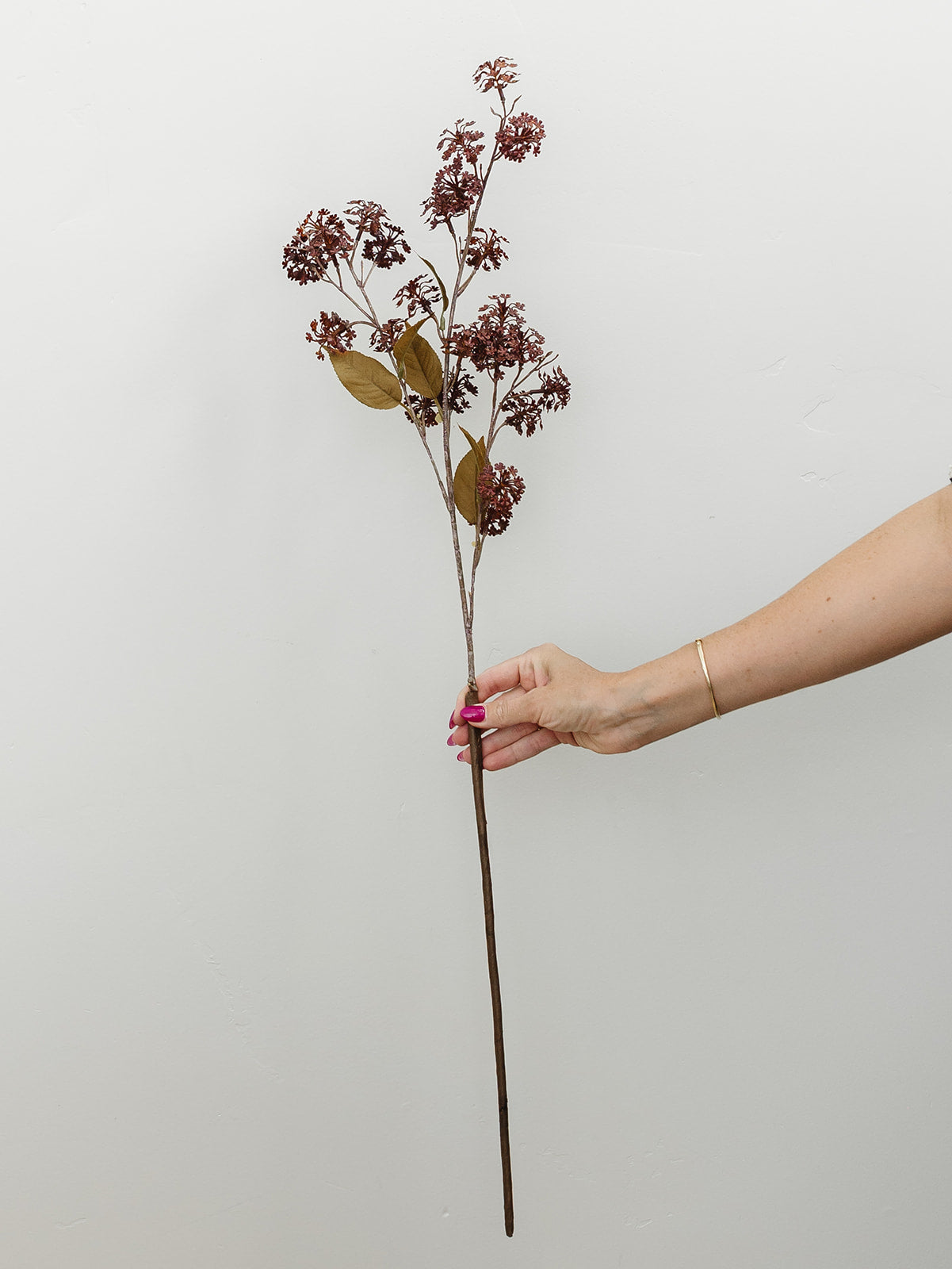 Burgundy Elderberry Stem - 35"