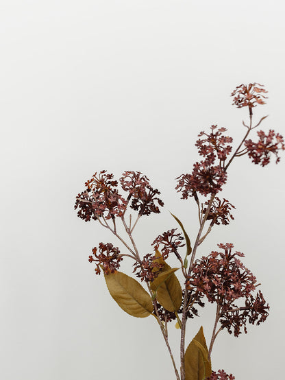 Burgundy Elderberry Stem - 35"
