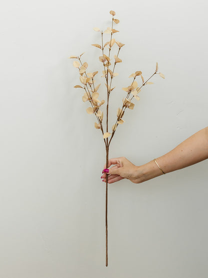 Beige Eucalyptus Stem - 34"