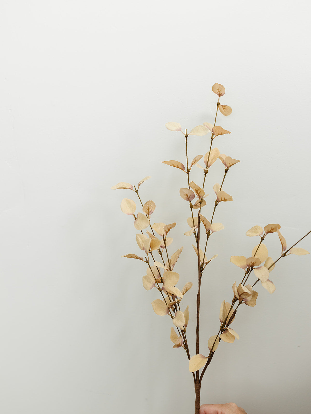 Beige Eucalyptus Stem - 34"