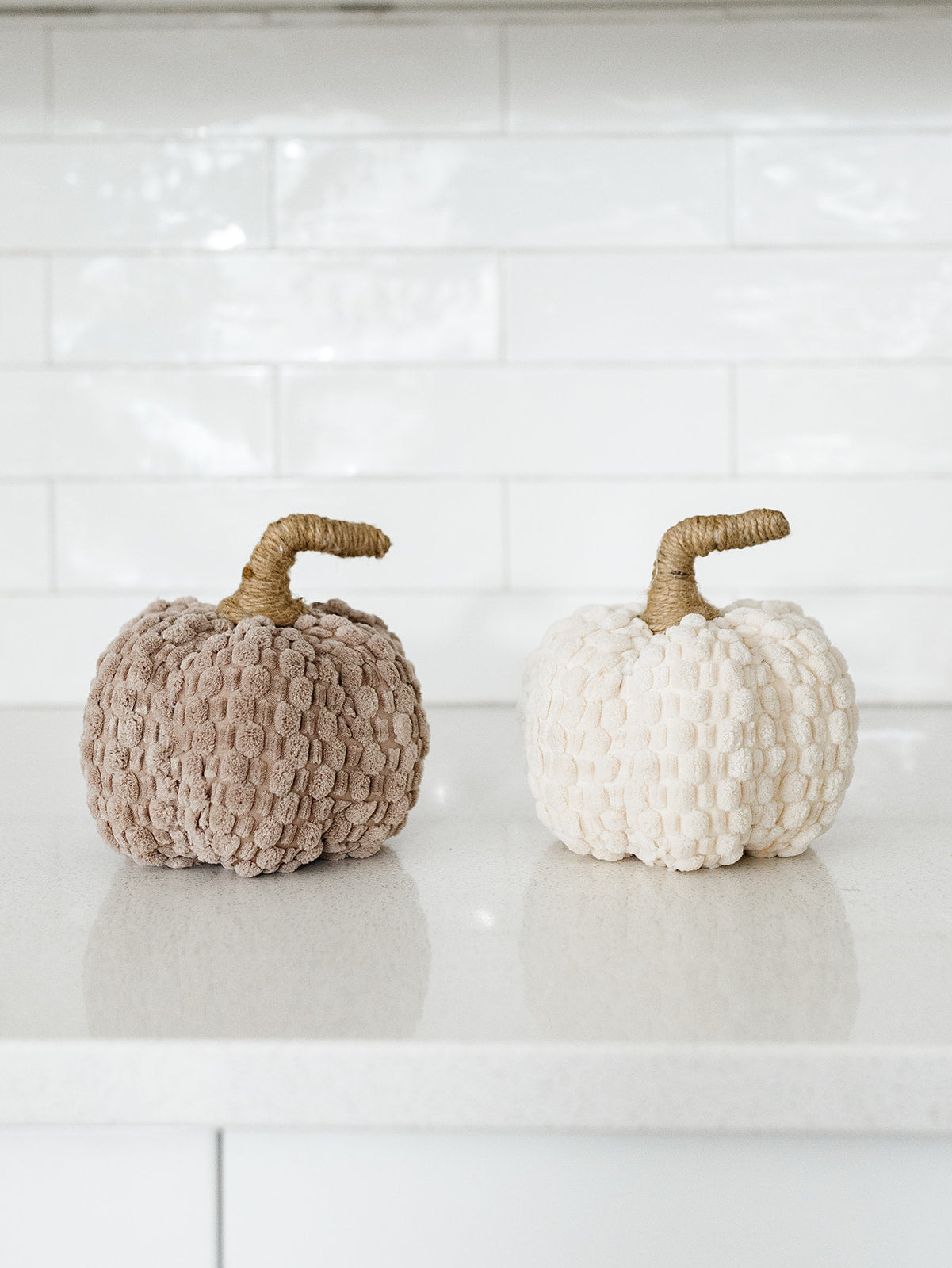 Textured Pumpkin - 6"x6" - 2 Colors