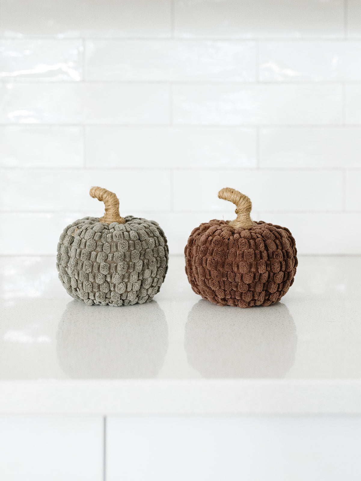 Textured Pumpkin - 6"x5" - 2 Colors