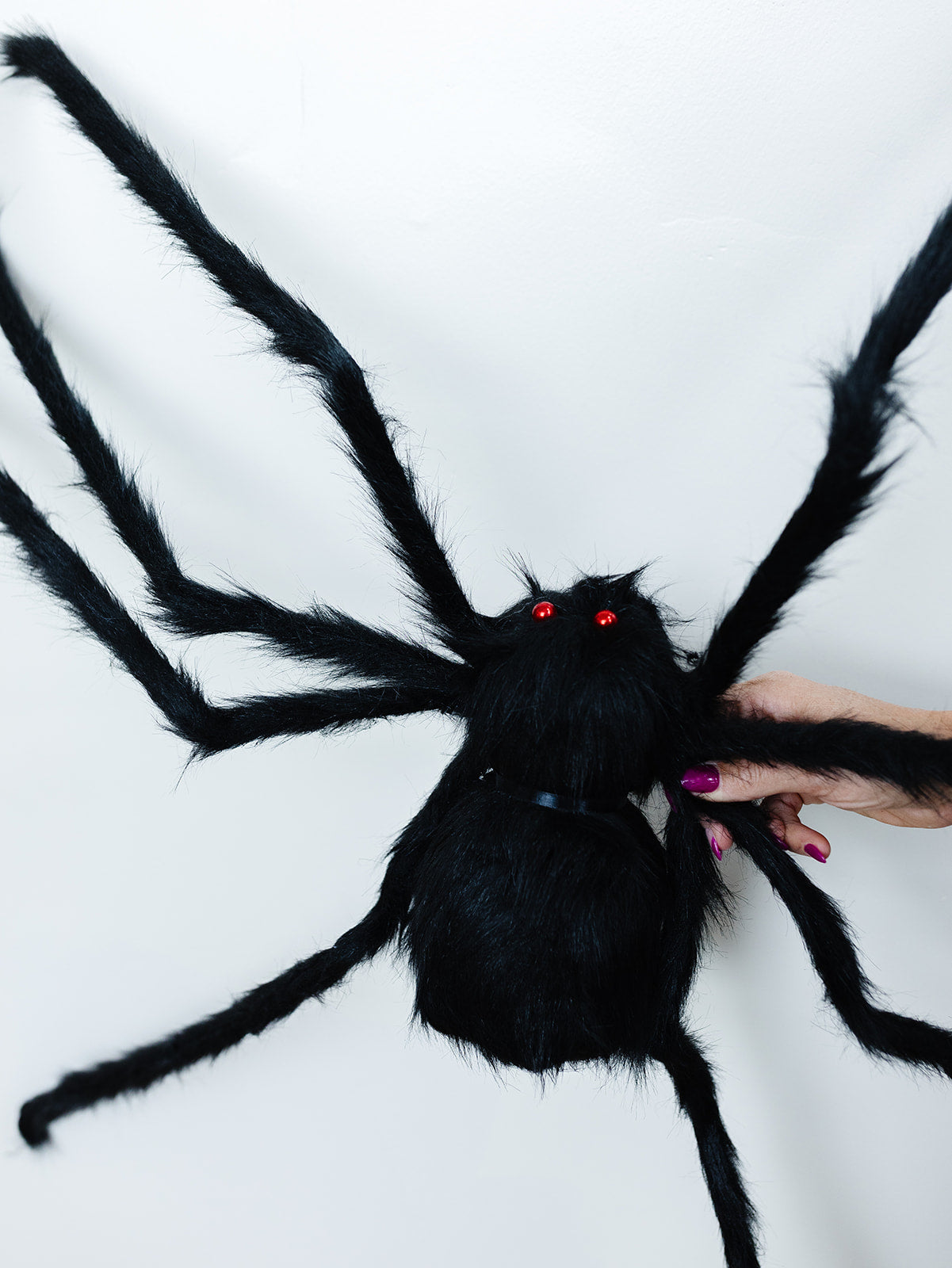 Furry Tarantulas Spider - 4 Sizes