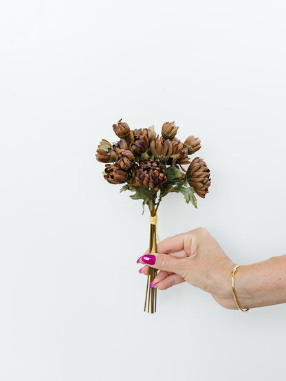 Brown Dahlia Bundle - 10"