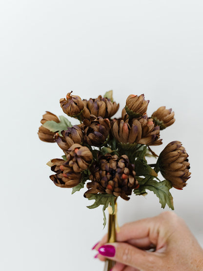 Brown Dahlia Bundle - 10"