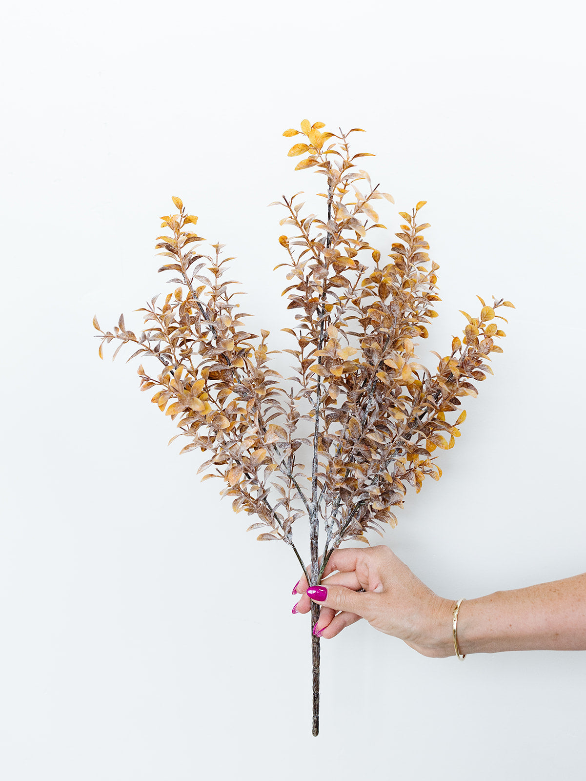 Tea Leaf Bush - 2 Lengths