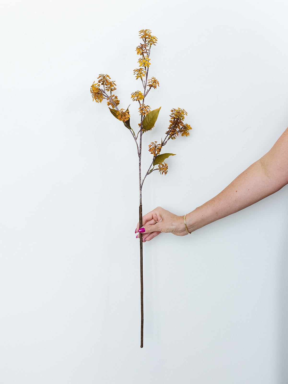 Amber Elderberry Fall Stem - 35"