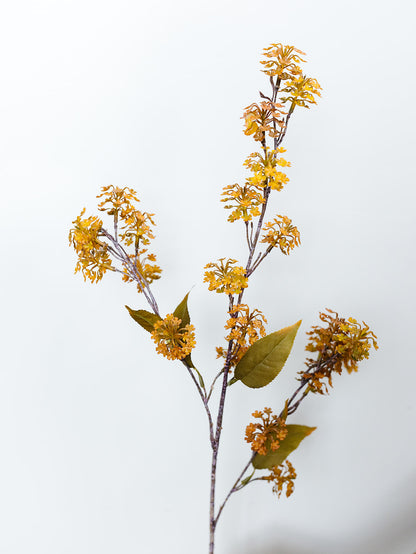 Amber Elderberry Fall Stem - 35"