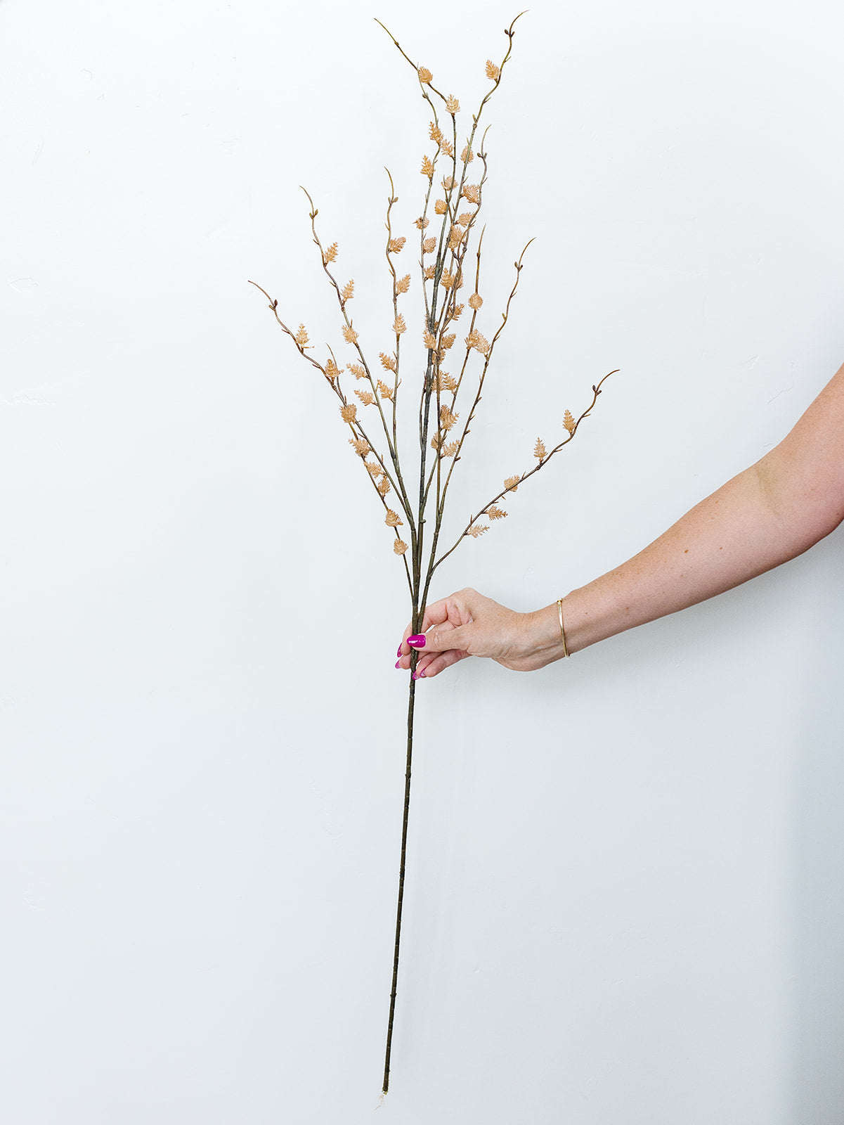 Tan Straw Flower Stem - 47"