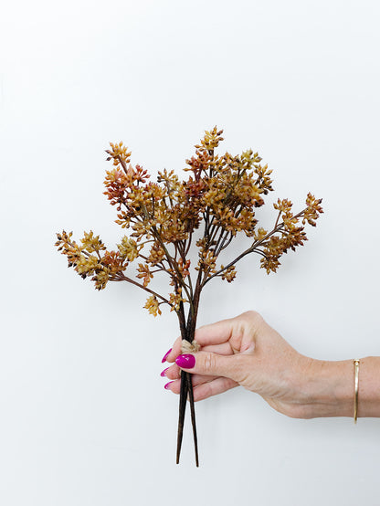 Sedum Bundle - 12" - Orange/Brown